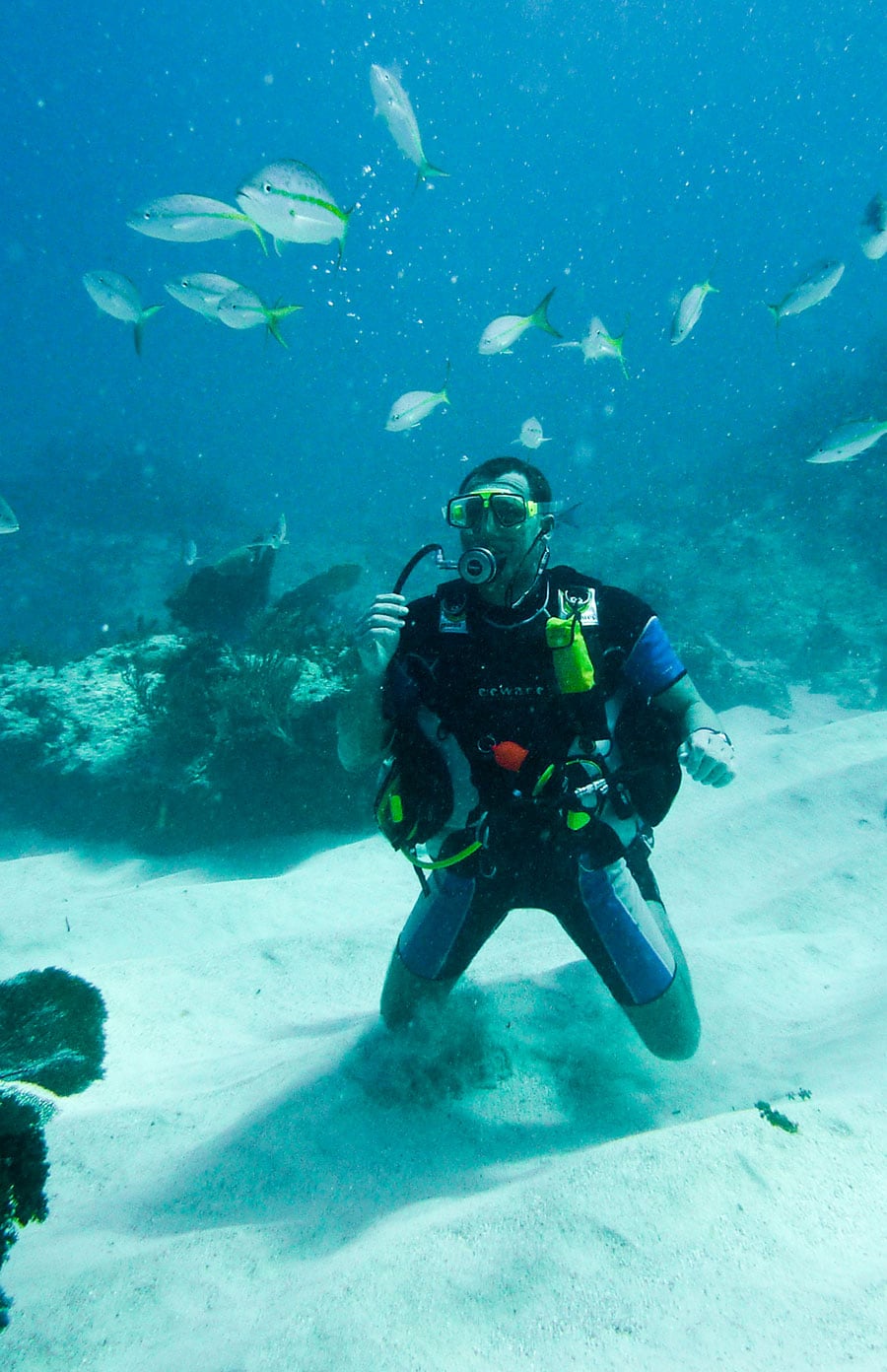 PADI & ESA Punta Cana - Advanced Open Water Diver Training Course in Bavaro, Punta Cana.